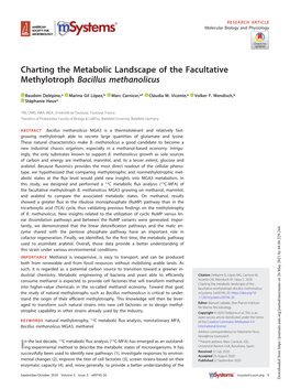 Charting the Metabolic Landscape of the Facultative Methylotroph Bacillus Methanolicus