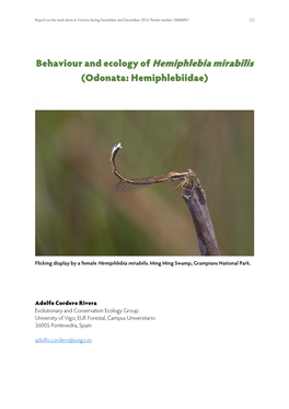 Behaviour and Ecology of Hemiphlebia Mirabilis (Odonata: Hemiphlebiidae)