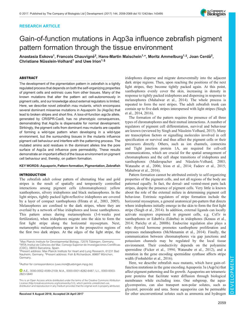 Gain-Of-Function Mutations in Aqp3a Influence Zebrafish Pigment Pattern