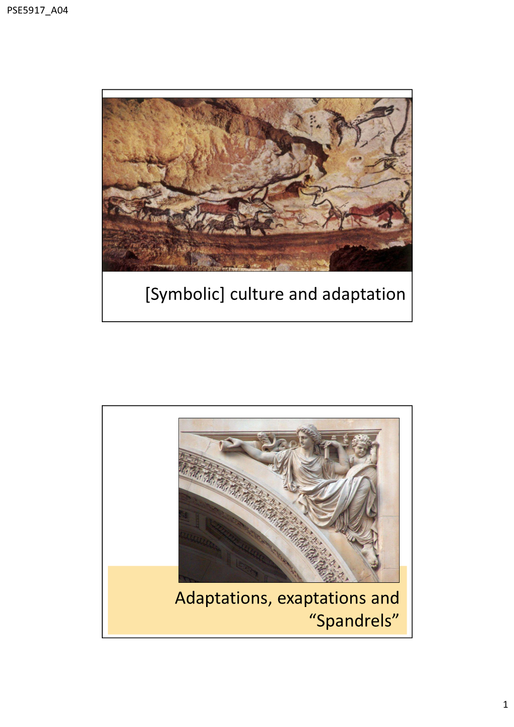 [Symbolic] Culture and Adaptation Adaptations, Exaptations