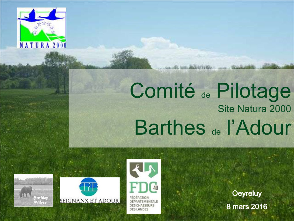 Comité De Pilotage Site Natura 2000 Barthes De L'adour