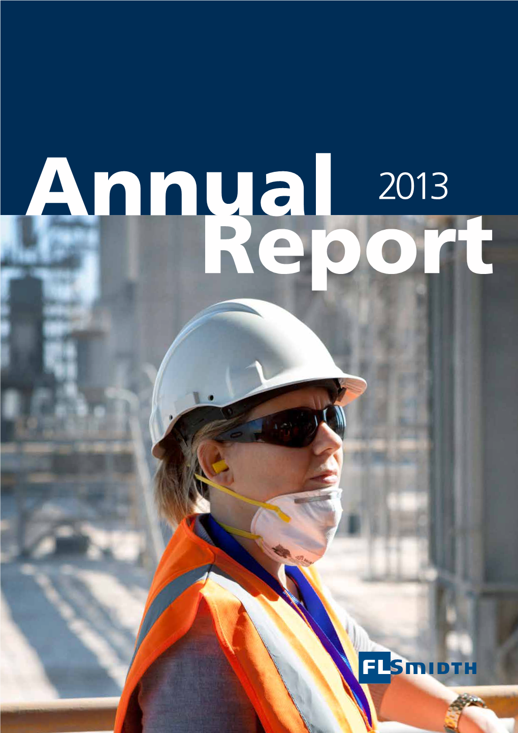 Annual Report 2013