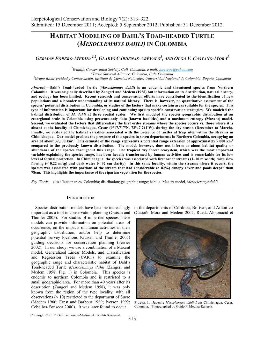 Habitat Modeling of Dahl's Toad-Headed Turtle