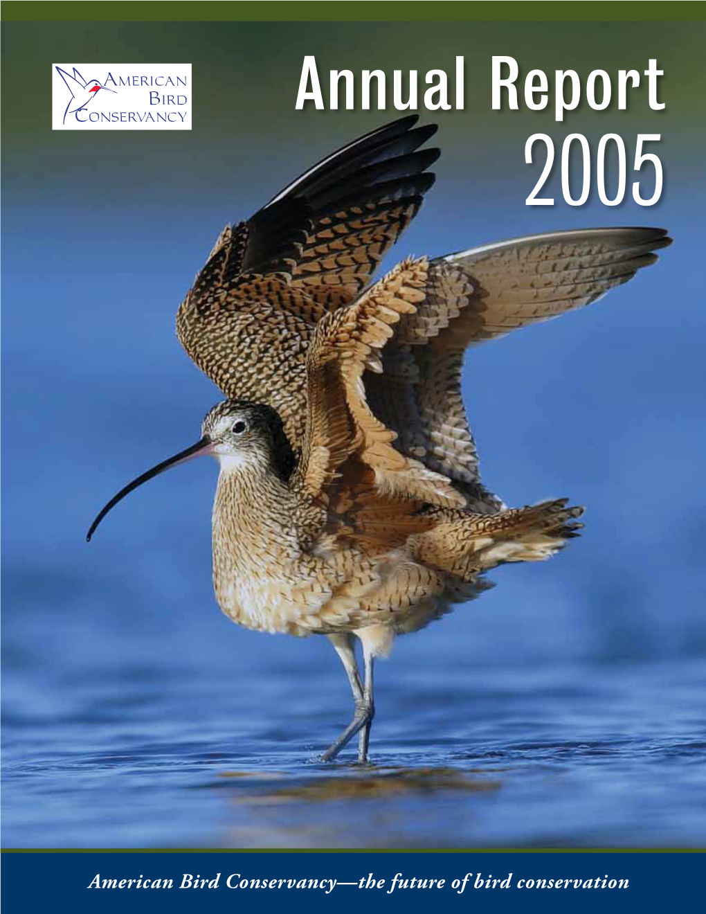 Annual Report 2005