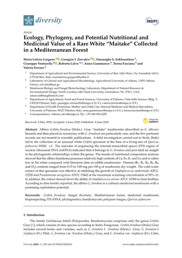 Ecology, Phylogeny, and Potential Nutritional and Medicinal Value of a Rare White “Maitake” Collected in a Mediterranean Forest