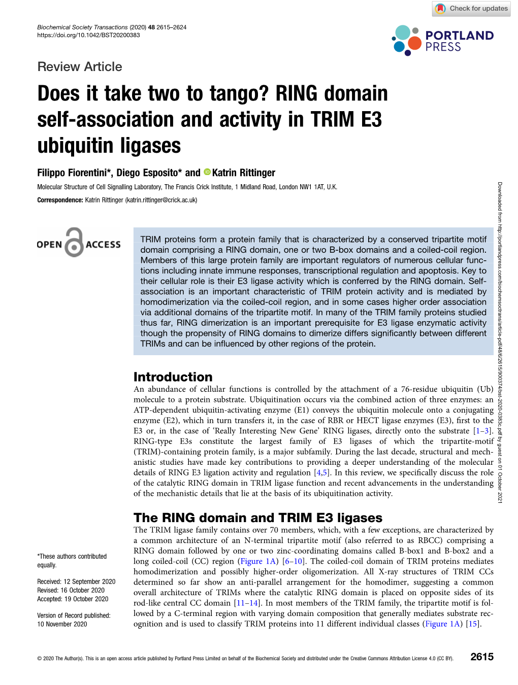 Does It Take Two to Tango? RING Domain Self-Association and Activity in TRIM E3 Ubiquitin Ligases