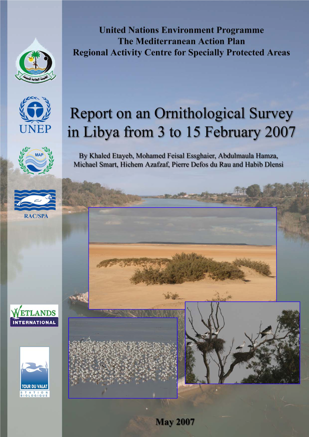Wetlands and Wintering Waterbirds in Libya, January 2005 and 2006