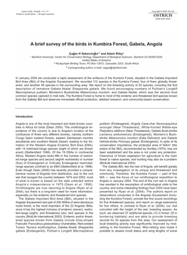 A Brief Survey of the Birds in Kumbira Forest, Gabela, Angola