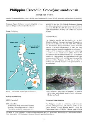 Philippine Crocodile Crocodylus Mindorensis Merlijn Van Weerd