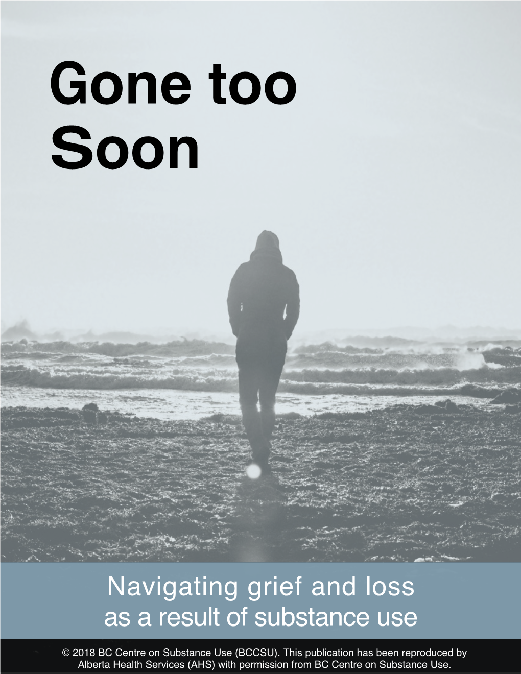 Gone Too Soon. Navigation Grief and Loss As a Result of Substance Use