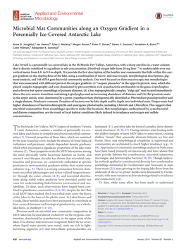 Microbial Mat Communities Along an Oxygen Gradient in a Perennially Ice-Covered Antarctic Lake