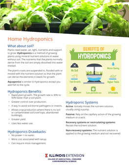 Home Hydroponics What About Soil? Plants Need Water, Air, Light, Nutrients and Support to Grow