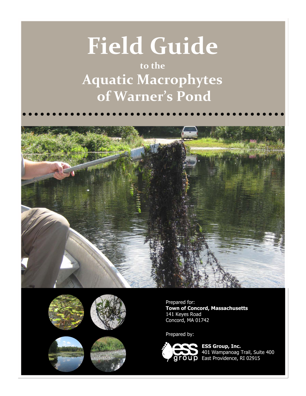 Warner's Pond Field Guide