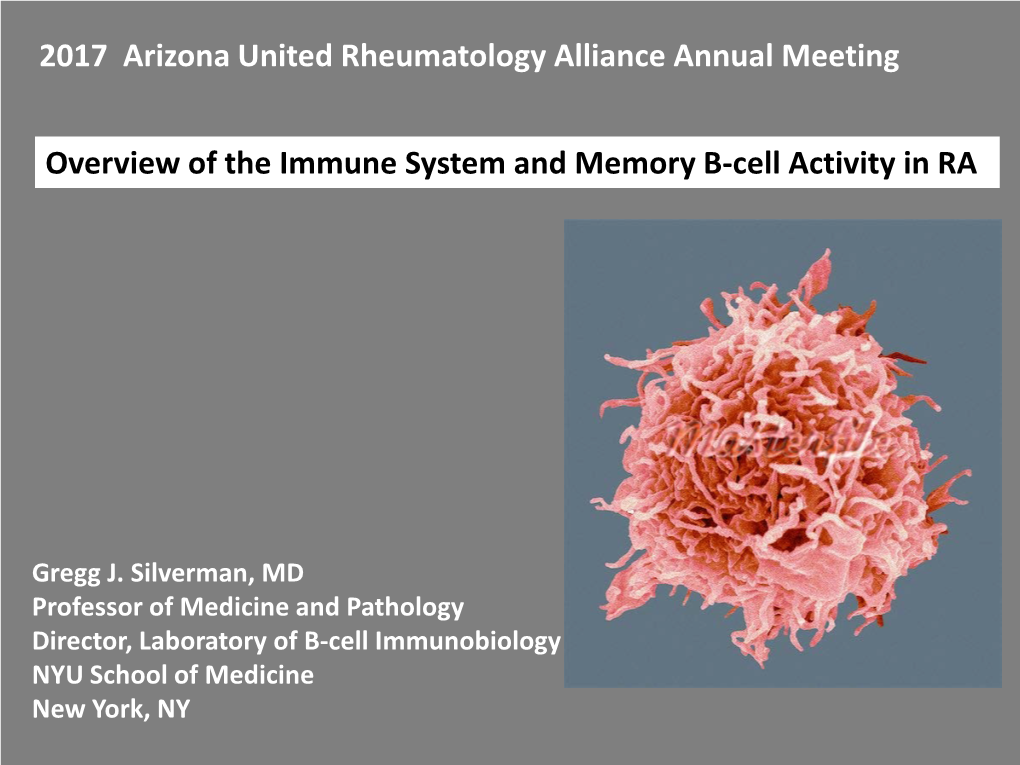 Overview of the Immune System and Memory B-Cell Activity in RA 2017