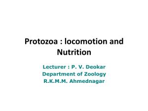 Protozoa : Locomotion and Nutrition