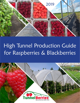 High Tunnel Raspberries and Blackberries