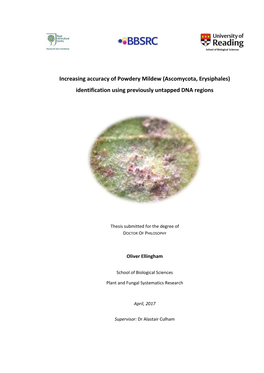 Increasing Accuracy of Powdery Mildew (Ascomycota, Erysiphales) Identification Using Previously Untapped DNA Regions