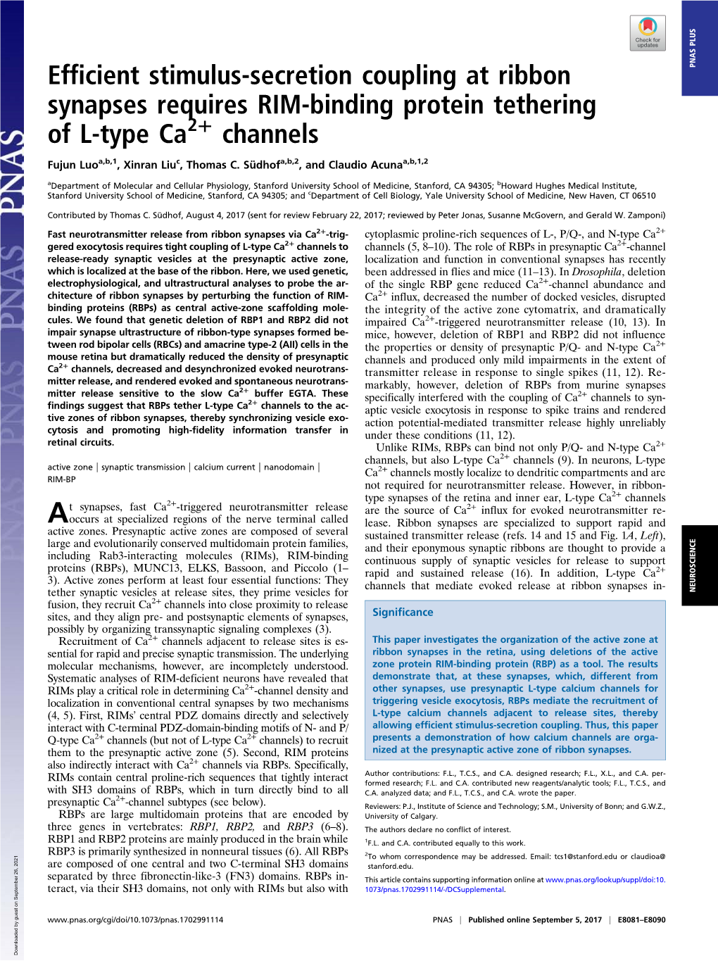 Efficient Stimulus-Secretion Coupling at Ribbon Synapses Requires RIM