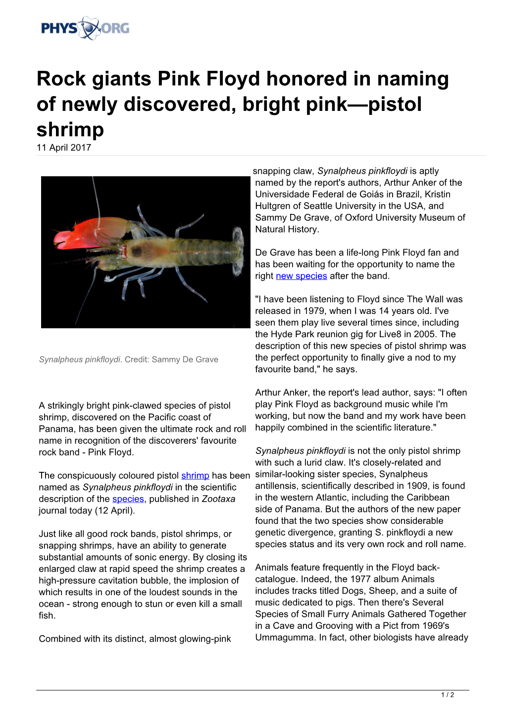 Rock Giants Pink Floyd Honored in Naming of Newly Discovered, Bright Pink—Pistol Shrimp 11 April 2017