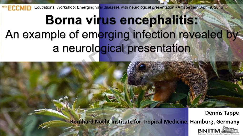 Borna Virus Encephalitis: an Example of Emerging Infection Revealed by a Neurological Presentation