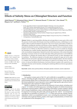 Effects of Salinity Stress on Chloroplast Structure and Function