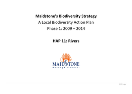 Maidstone's Biodiversity Strategy
