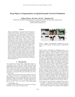 Deep Object Co-Segmentation Via Spatial-Semantic Network Modulation
