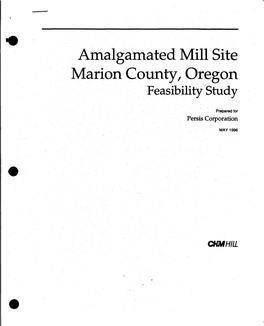 Amalgamated Mill Site Marion County, Oregon Feasibility Study