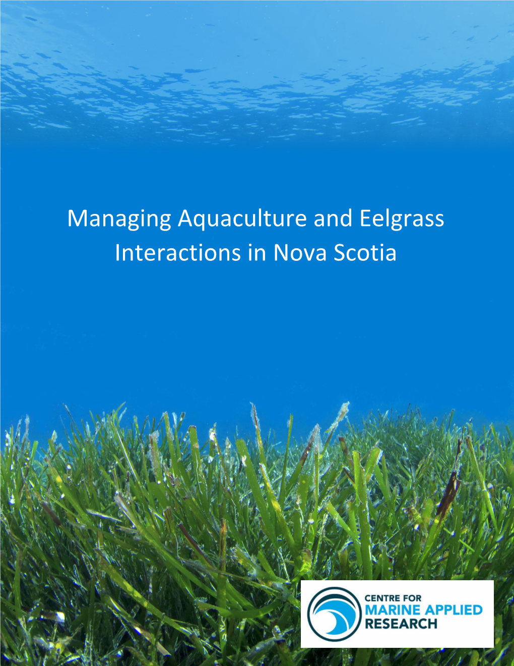 Managing Aquaculture and Eelgrass Interactions in Nova Scotia