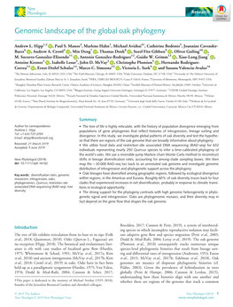 Genomic Landscape of the Global Oak Phylogeny