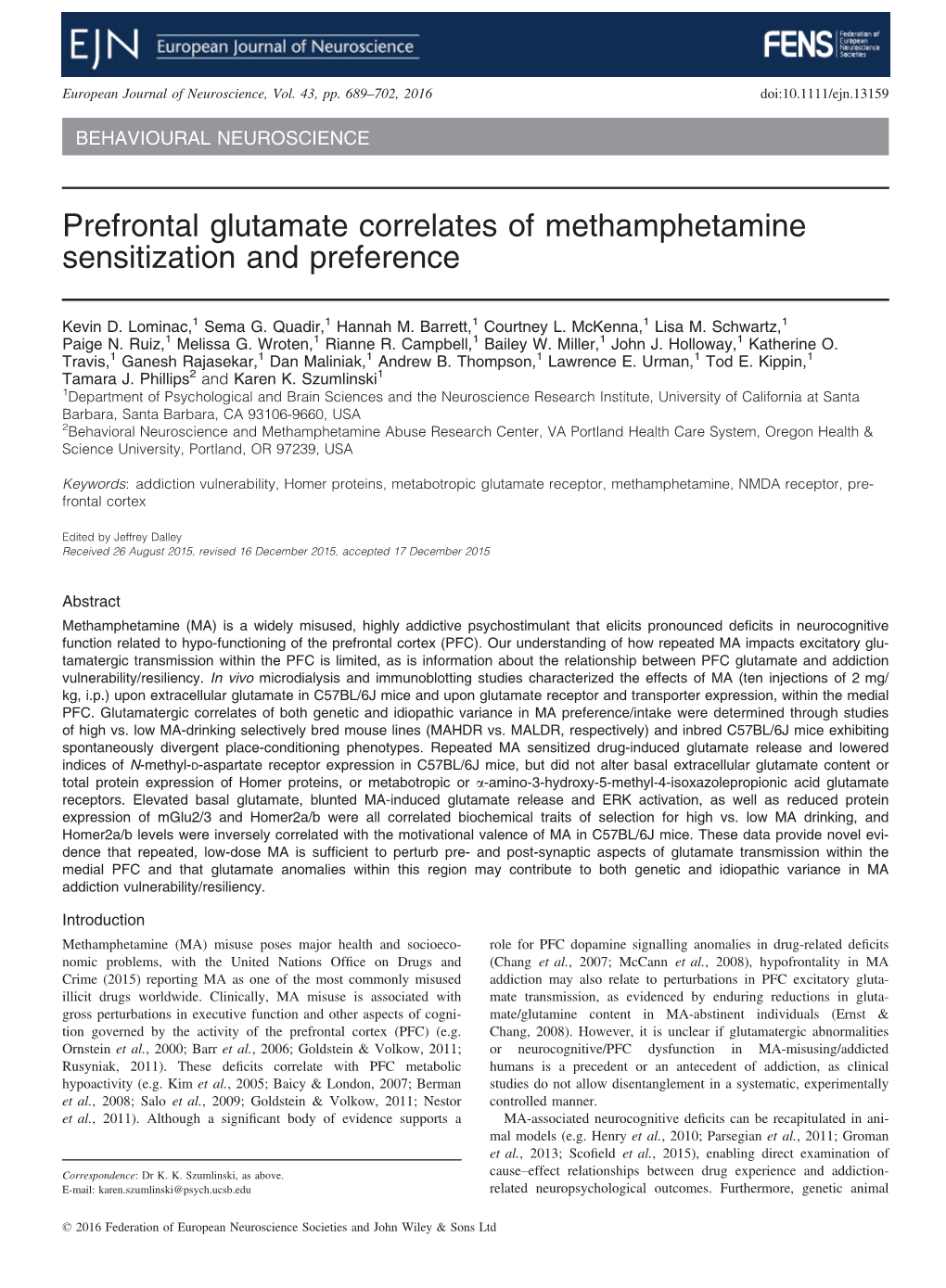 Prefrontal Glutamate Correlates of Methamphetamine Sensitization and Preference