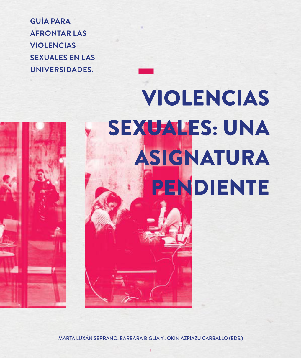 Violencias Sexuales: Una Asignatura Pendiente