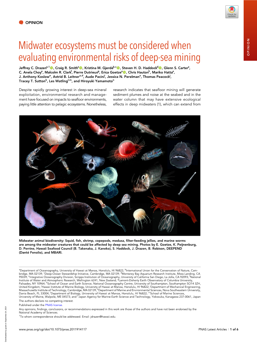 Midwater Ecosystems Must Be Considered When Evaluating Environmental Risks of Deep-Sea Mining OPINION Jeffrey C