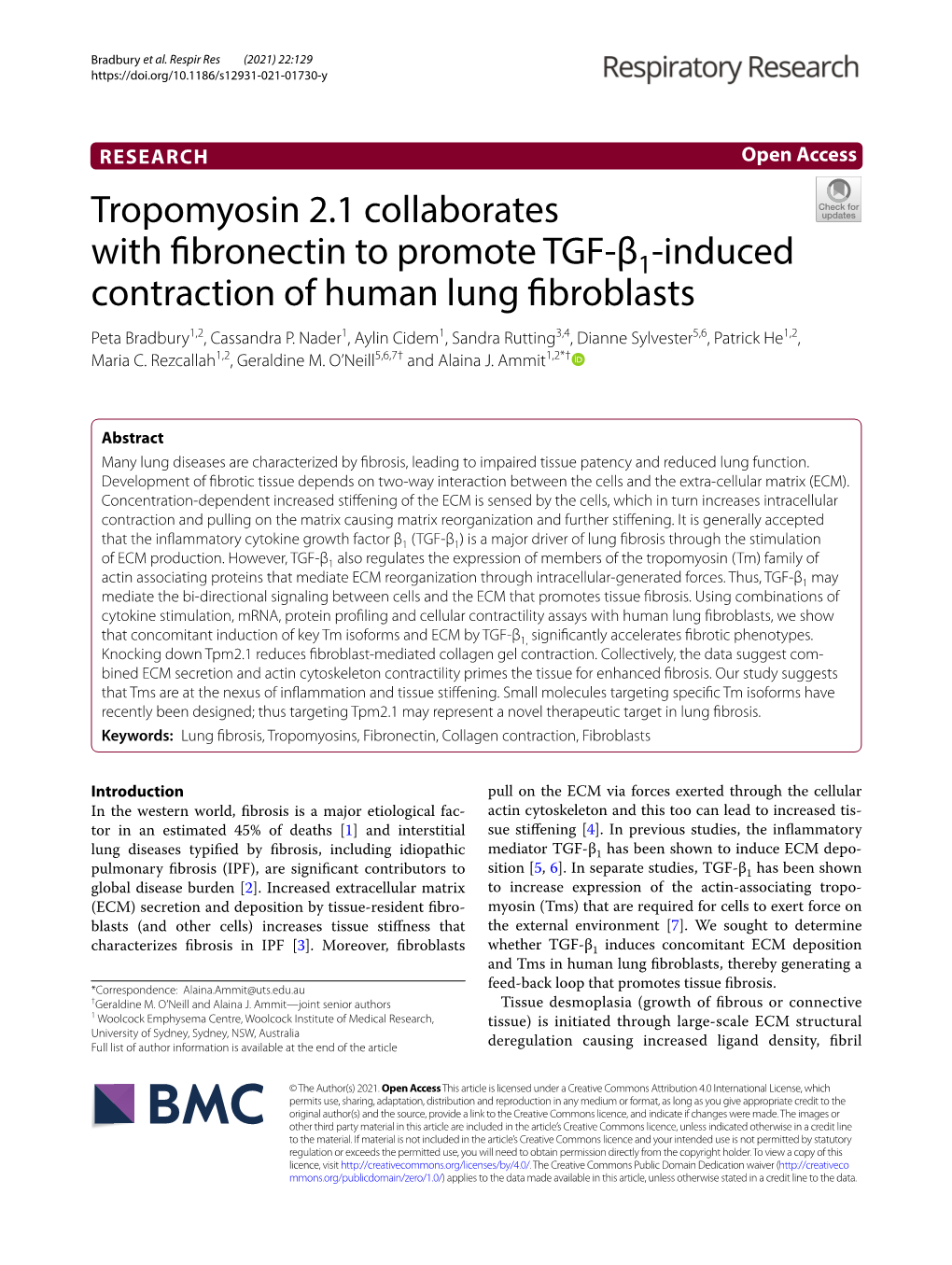 Tropomyosin 2.1 Collaborates with Fibronectin to Promote TGF-Β