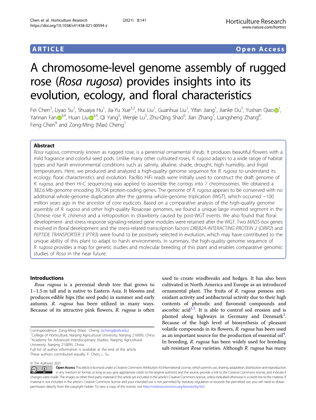 A Chromosome-Level Genome Assembly of Rugged Rose