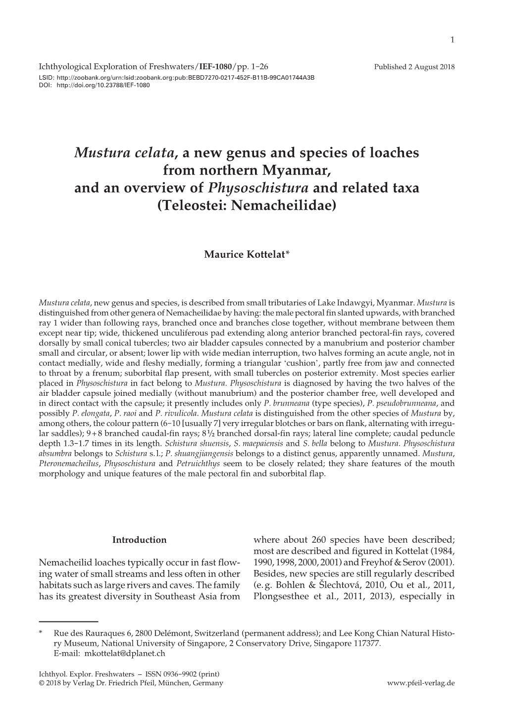 Mustura Celata, a New Genus and Species of Loaches from Northern Myanmar, and an Overview of Physoschistura and Related Taxa (Teleostei: Nemacheilidae)