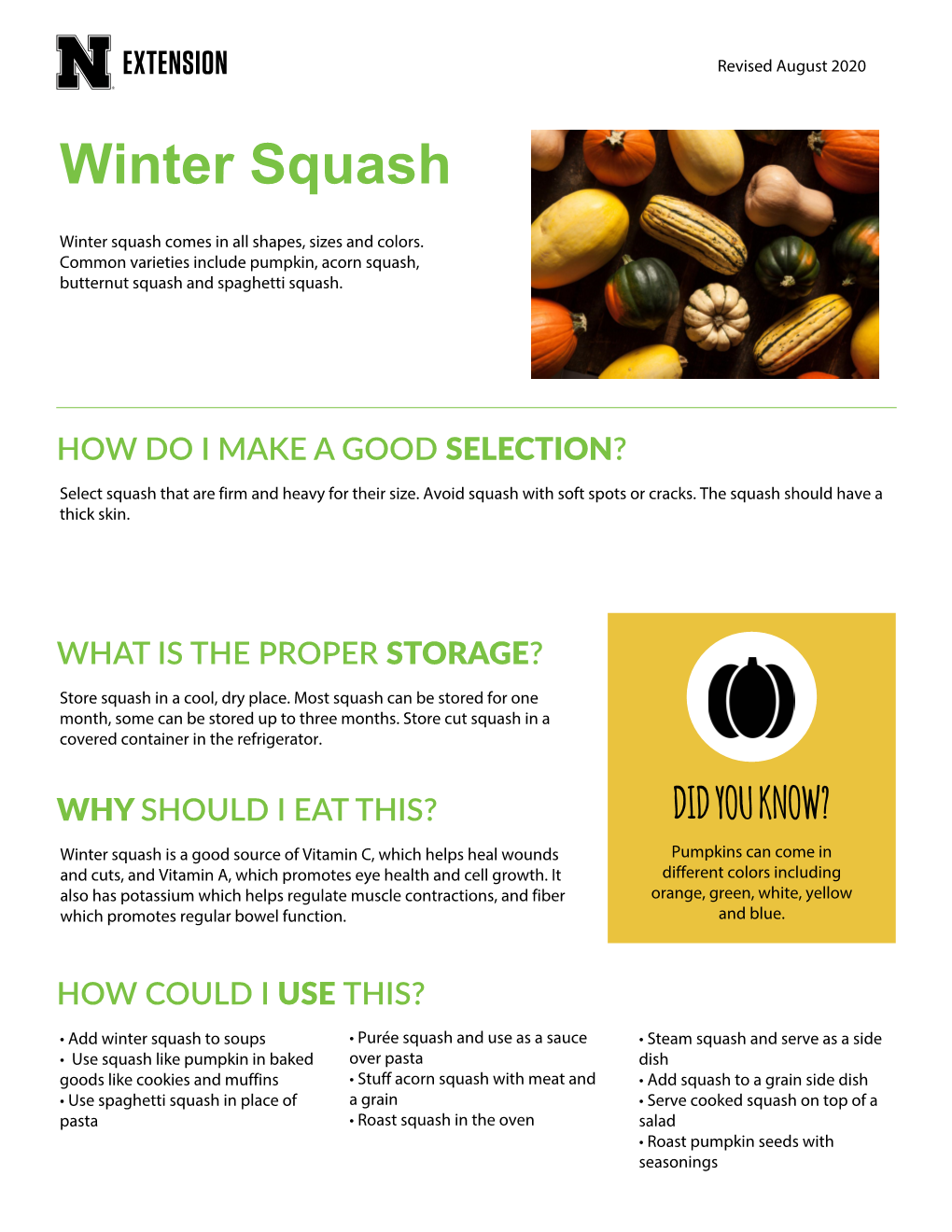 Winter Squash