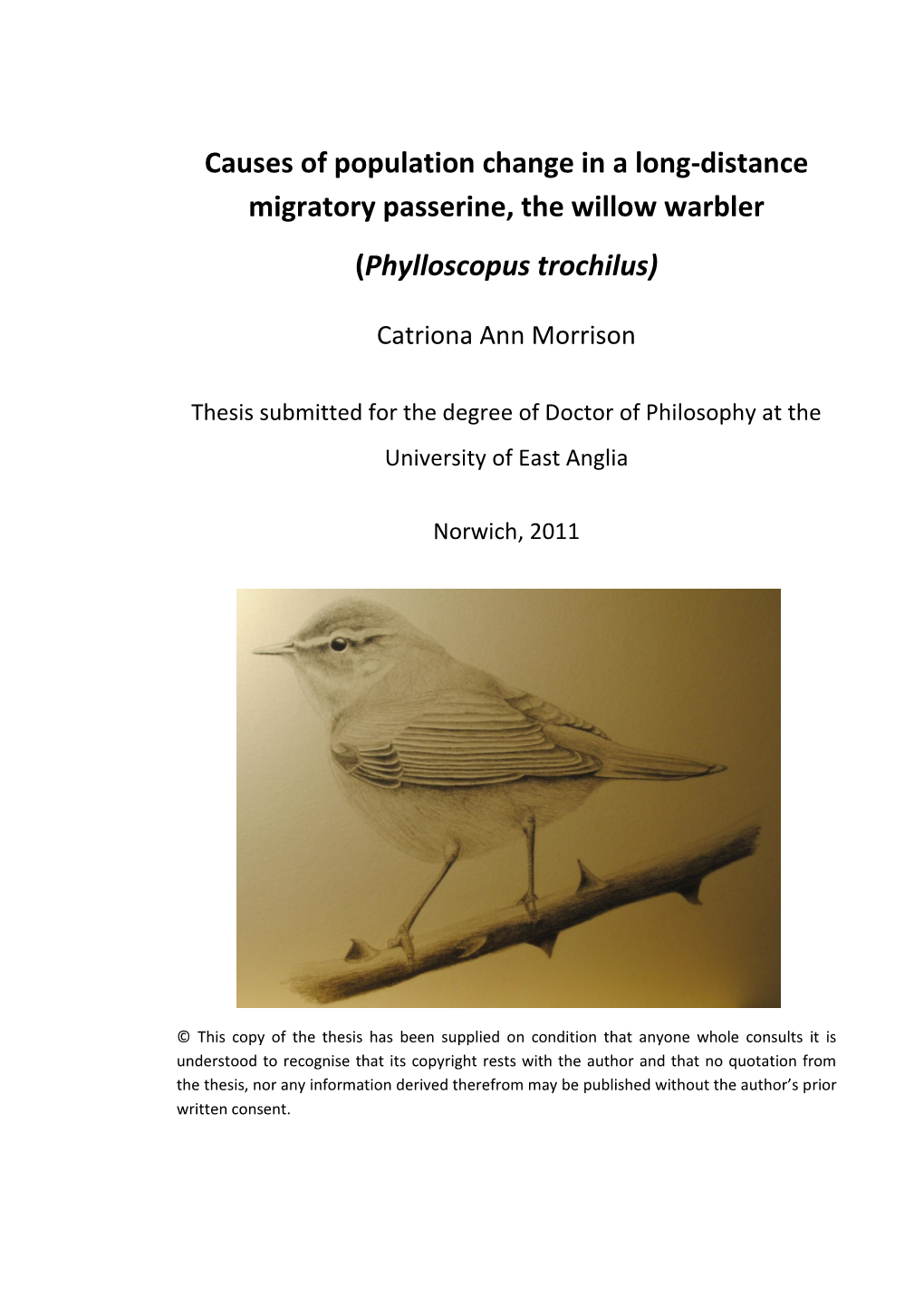 Causes of Population Change in a Long-Distance Migratory Passerine, the Willow Warbler (Phylloscopus Trochilus)