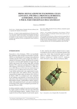 Prima Segnalazione Di Staurophora Celsia (Linnaeus, 1758) Per La Provincia Di Brescia (Lombardia, Italia Settentrionale) E Per Il Parco Regionale Dell’Adamello