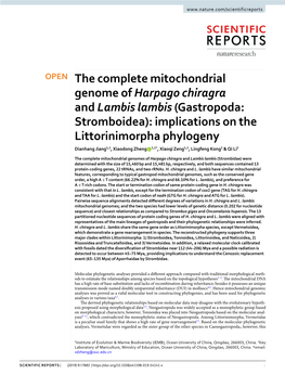 The Complete Mitochondrial Genome of Harpago Chiragra and Lambis