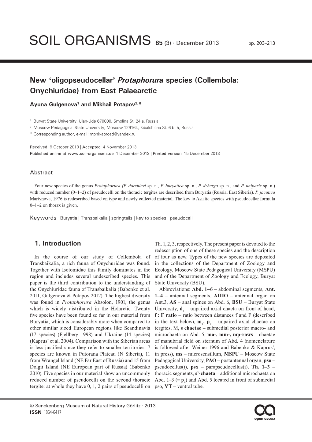 New 'Oligopseudocellar' Protaphorura Species (Collembola: Onychiuridae