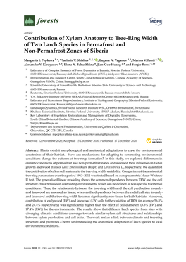 Contribution of Xylem Anatomy to Tree-Ring Width of Two Larch Species in Permafrost and Non-Permafrost Zones of Siberia