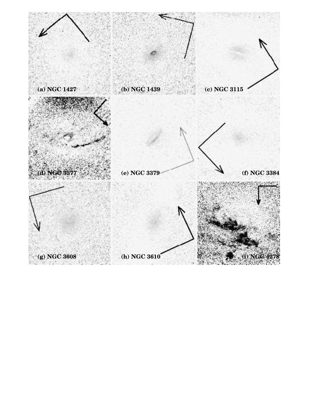 (A) NGC 1427 (B) NGC 1439 (C) NGC 3115 (D) NGC 3377 (E) NGC