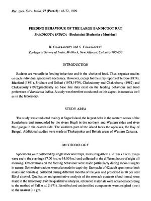 FEEDING BERA VIOUR of the LARGE BANDICOOT RAT BANDICOTA INDICA (Bechstein) [Rodentia: Muridae]