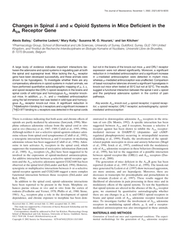 Changes in Spinal and Opioid Systems in Mice Deficient in The