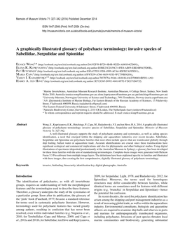 A Graphically Illustrated Glossary of Polychaete Terminology: Invasive Species of Sabellidae, Serpulidae and Spionidae