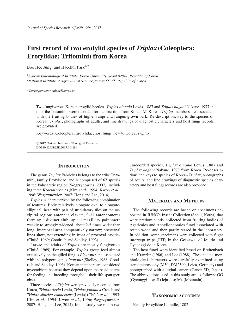 First Record of Two Erotylid Species of Triplax(Coleoptera: Erotylidae