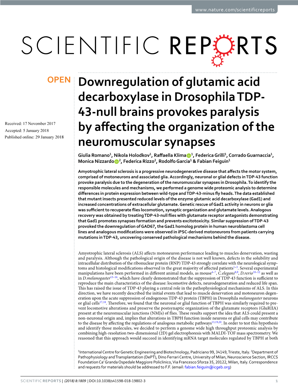 Downregulation of Glutamic Acid Decarboxylase in Drosophila TDP