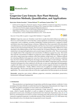 Grapevine Cane Extracts: Raw Plant Material, Extraction Methods, Quantiﬁcation, and Applications