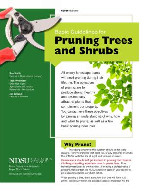 Basic Guidelines for Pruning Trees and Shrubs